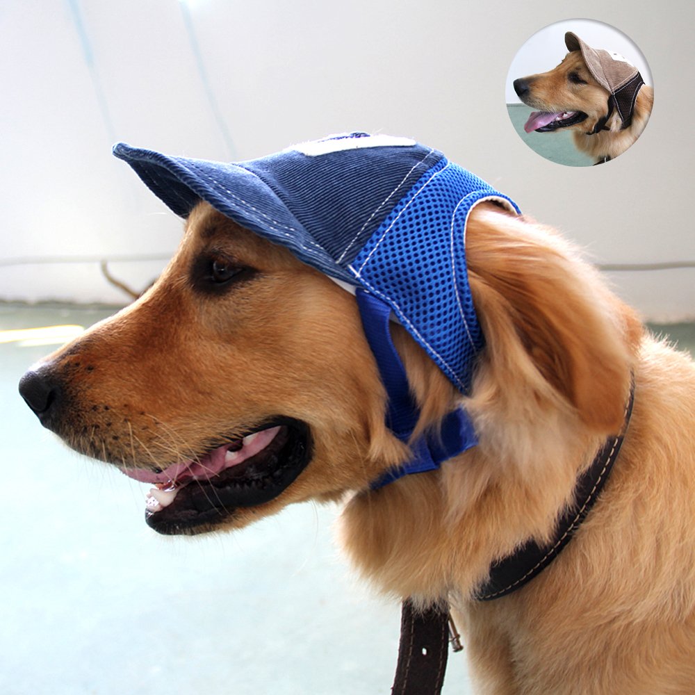 summer hats for dogs