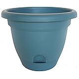 Bloem Living LP1048 Lucca Self-Watering Planter, 10-Inch, Turbulant