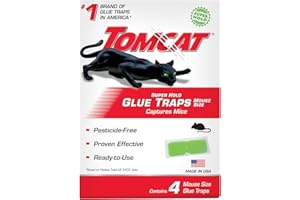 Tomcat Super Hold Glue Traps Mouse Size for Mice, Cockroaches, Spiders, and Scorpions, Ready-To-Use, 4 Traps