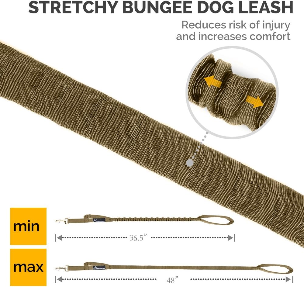 OutdoorMaster Bungee Dog Leash, Improved Dog Safety & Comfort (Tan) : Pet Supplies