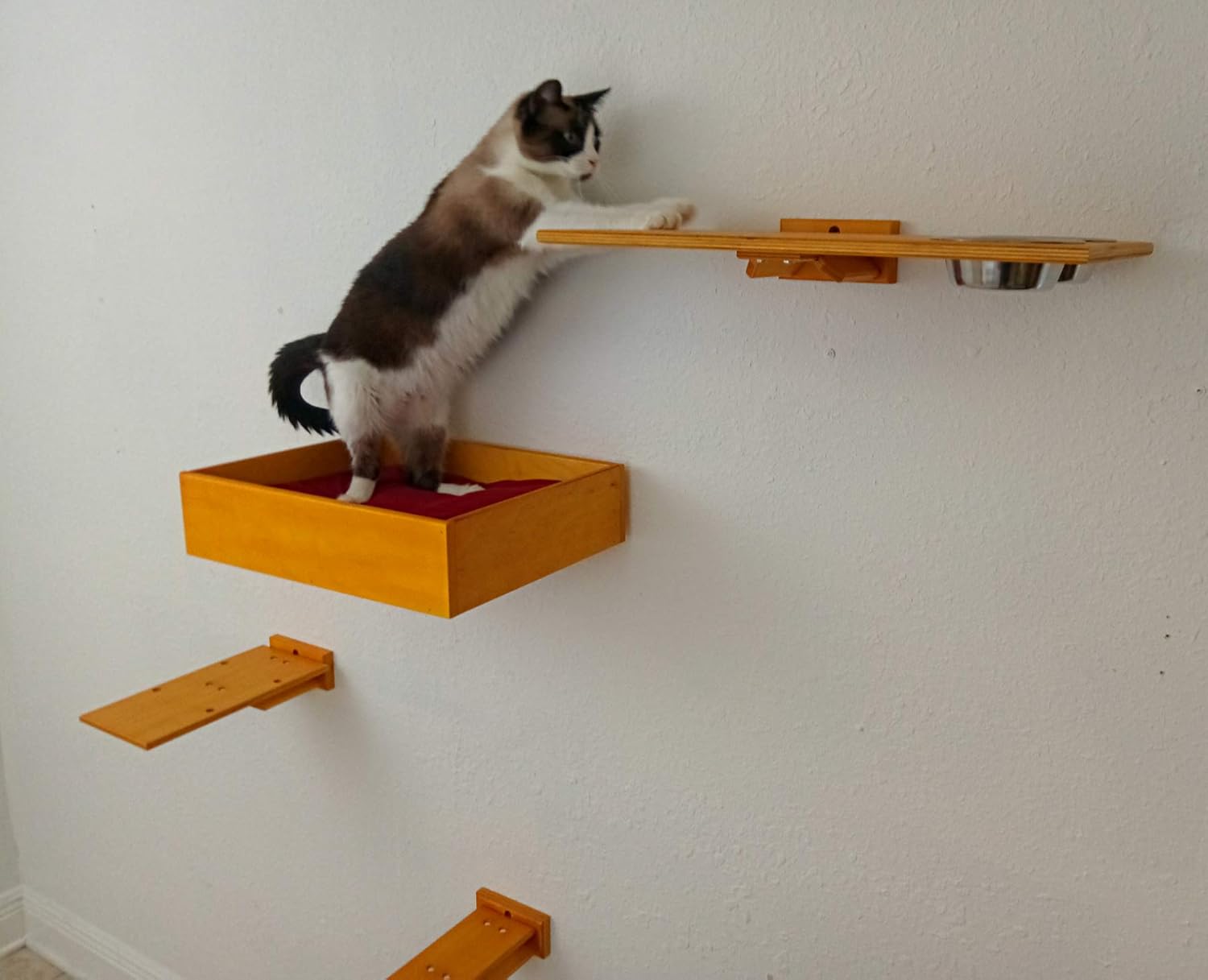 cat wall platforms