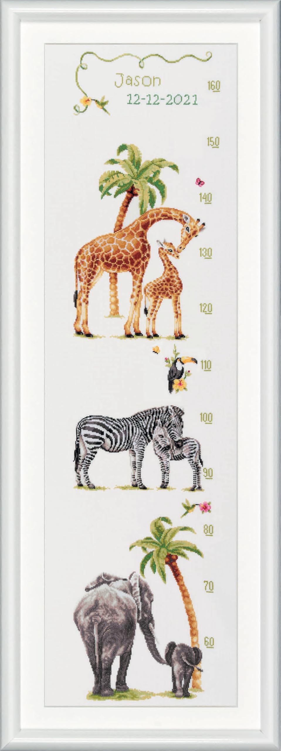 Dutch Stitch Brothers - Counted Cross Stitch Kit - DSB002A - Growth Chart Safari - White Aida - 43.3 x 9.8 Inch - DIY for Adults