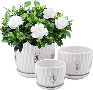 Yinger-WG Set Di 3 Vasi In Ceramica Per Piante Da Interno – Con Piattini, Dimensioni Diverse, Colore Bianco, Stile Minimalista, Con Foro Di Drenaggio