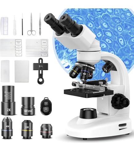Amazon.com : AmScope SE304R-P-RK15 20X-40X Forward Stereo