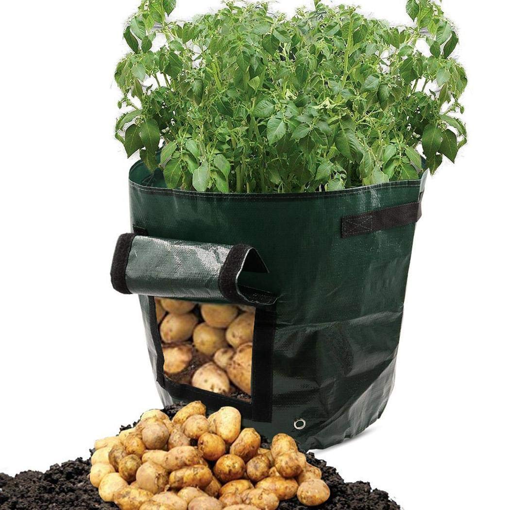Kindsells Taro Potato Planter Bag Plant Flower Grass Grow Pot Home Garden Garden Tool Holders