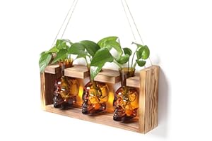 YYHglass Plant Terrarium Propagation Stations Hydroponics Halloween Skull Planter Vase Skulls Decor with Wooden Stand Gift for Father