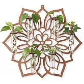 15 Inch Flower Shaped Plant Hanging Propagation Stations with 6 Glass Vases | Wooden Wall Planter Terrarium for Plant, Propagation Station Wall Art Decor Indoor, Christmas Gift for Women Mom, Plant Lover