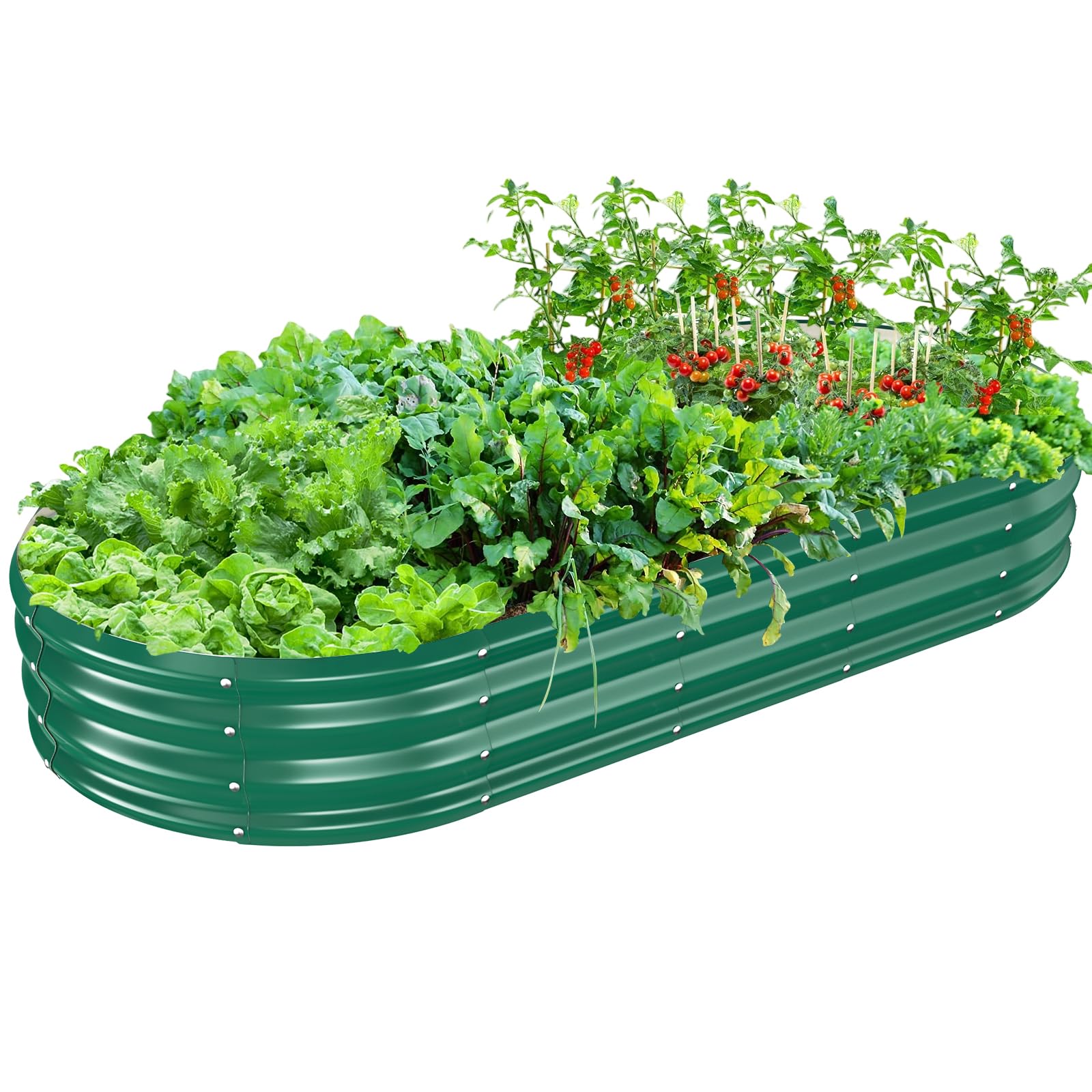 Photo 1 of TBMLC Oval Galvanized Planter Box, Metal Raised Garden Bed - 0.8MM Thick- Ideal for Outdoor Gardening and Planting of Vegetables Flowers Fruits Succulent Plants and Others (Dark Green, 6X3X1 FT)