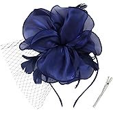 AMCAMI Fascinators Hats for Women,Derby Tea Party Hats with Feather&Veil,Clip&Headband