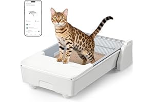 Meowant Automatic Litter Box, Self Cleaning Cat Litter Box with App Control, Open Top Cat Box for Multi Cats, Dual Rake, Works with Clumping Litter, Anti Pinch Safety Feature, Odor Control