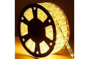 Tuanchuanrp 100Ft LED Rope Lights Outdoor, Rope Lights for Outside, 110V Outdoor String Lights Waterproof, Ideal for Eaves, Backyards Garden, Christmas Decoration(Warm White)