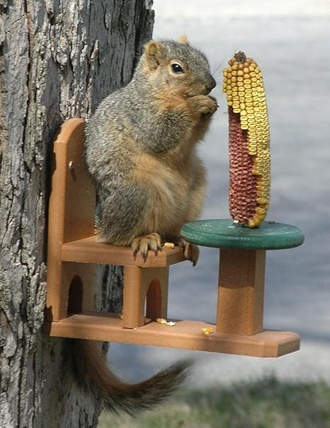Amazon Com Songbird Essentials Se526 Recycled Poly Squirrel