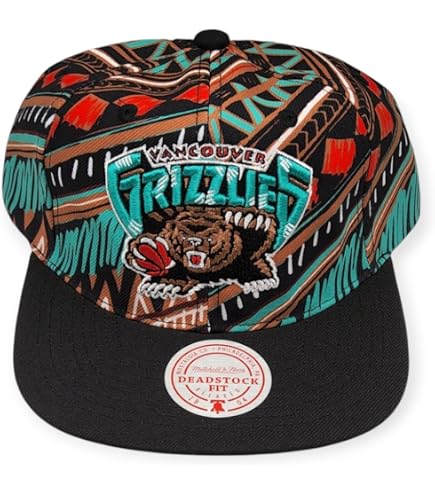Amazon.com: Mitchell & Ness Vancouver Grizzlies NBA Jumbotron