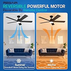 Ceiling Fan With Light 52-Inch, Remote Control