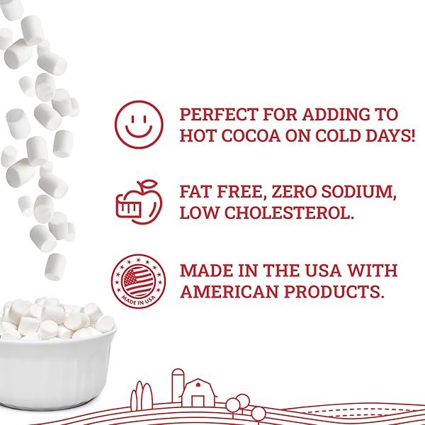 HOOSIER HILL FARM MINI DEHYDRATED MARSHMALLOWS, 1LB (PACK OF 1)