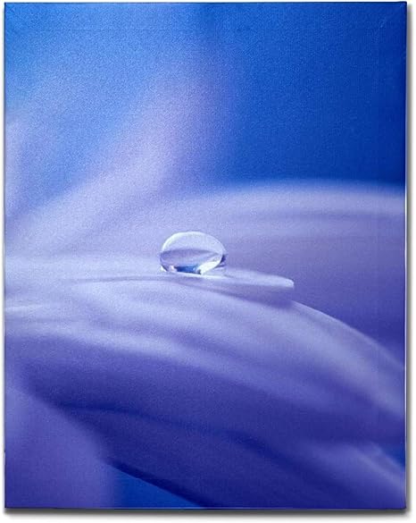 Amazon Co Jp キャンバス油絵 ポスター 絵画 しずく 水滴 むらさき キャンバス 絵 インテリア絵画 壁掛け 木枠 フック付き アートポスター 飾り絵 玄関 レストラン 寝室 壁画アート 現代アートフレーム 祝い ギフト ホーム キッチン