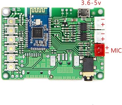 bluetooth speaker module