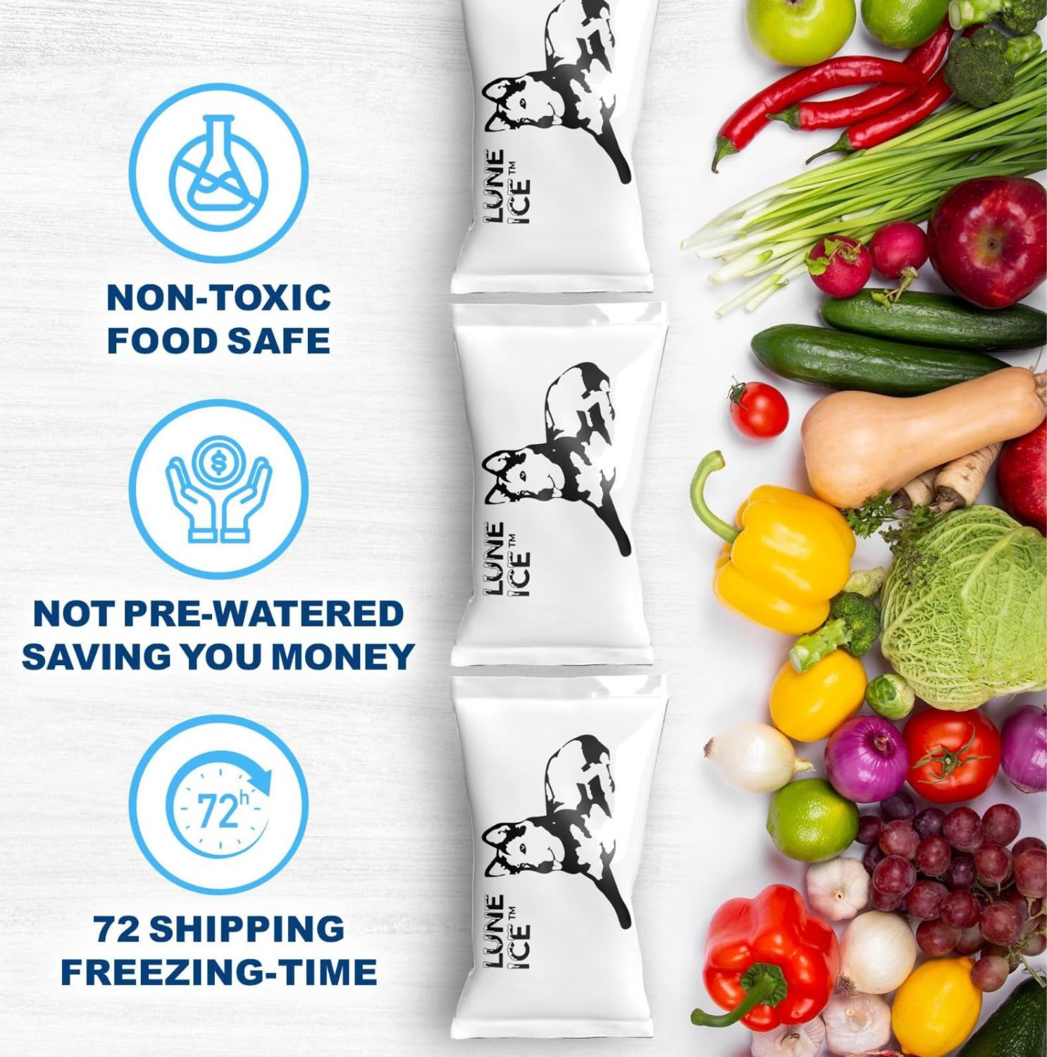 Dry Ice Packs for Shipping - Long Lasting ice Packs - 24+ Hour Freeze Power - BPA Free - 12 Pack Bulk 3 lb – Hielo Seco - Reusable Gel Bricks for Food