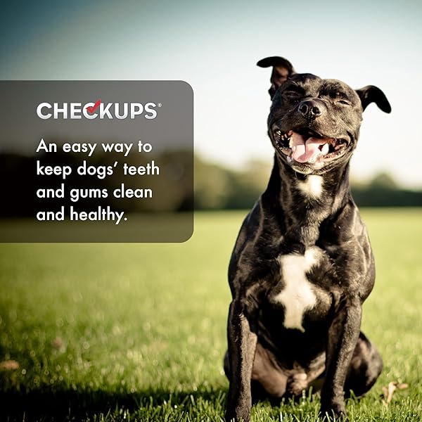CHECKUPS DENTAL DOG TREATS, 24 TREATS – 48 OZ.