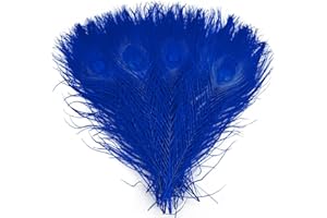 LWINGFLYER 20pcs Dyed Peacock Feathers 10-12 Inch Feather for Crafts Hat Costume Christmas Tree Decor Wedding Holiday Decoration Floral Arrangements (Royal Blue)