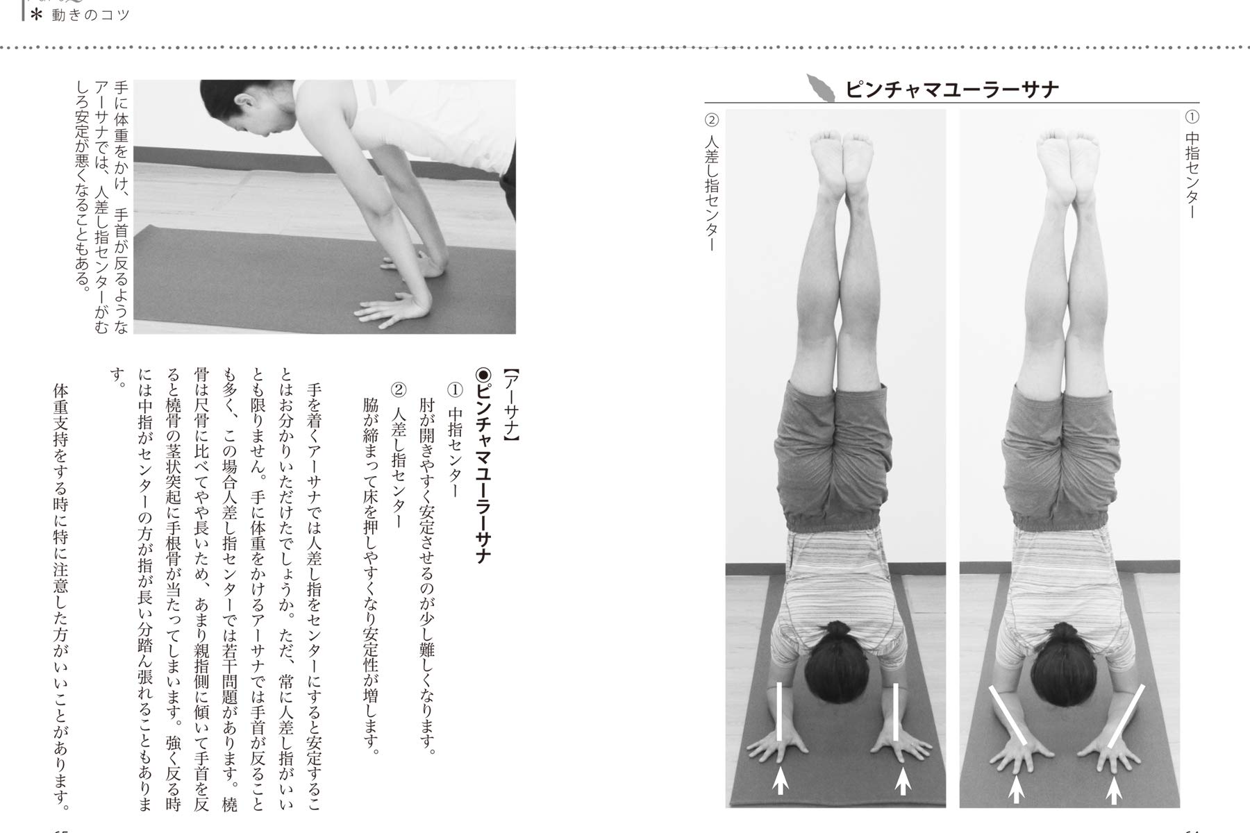 何となくではない 解剖学と生理学で実感できるヨガ 中村尚人 22 新作
