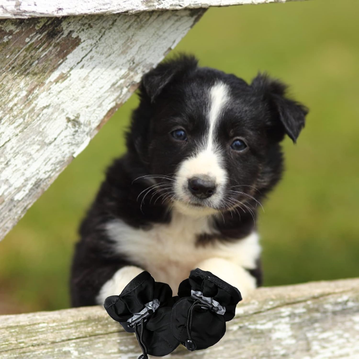 View 7