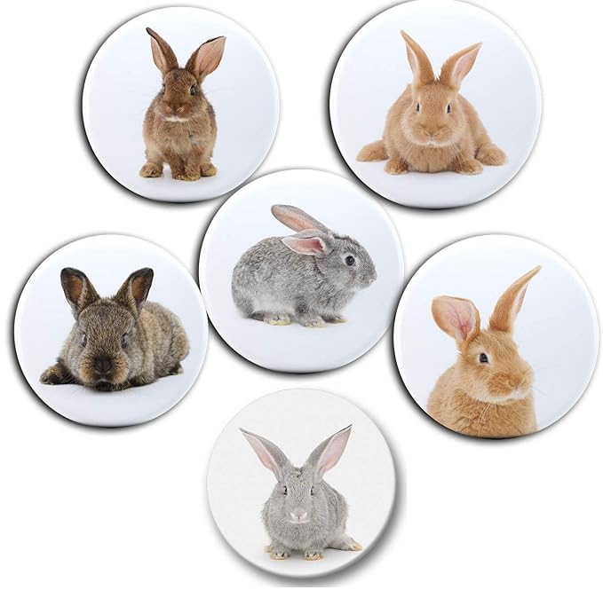 Conejo conejos enanos conejo - 6 imanes para nevera diámetro 5,9 ...