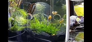 Review Image by H. W Young