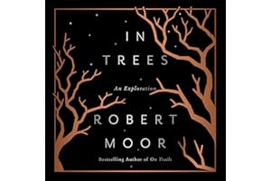 In Trees: An Exploration