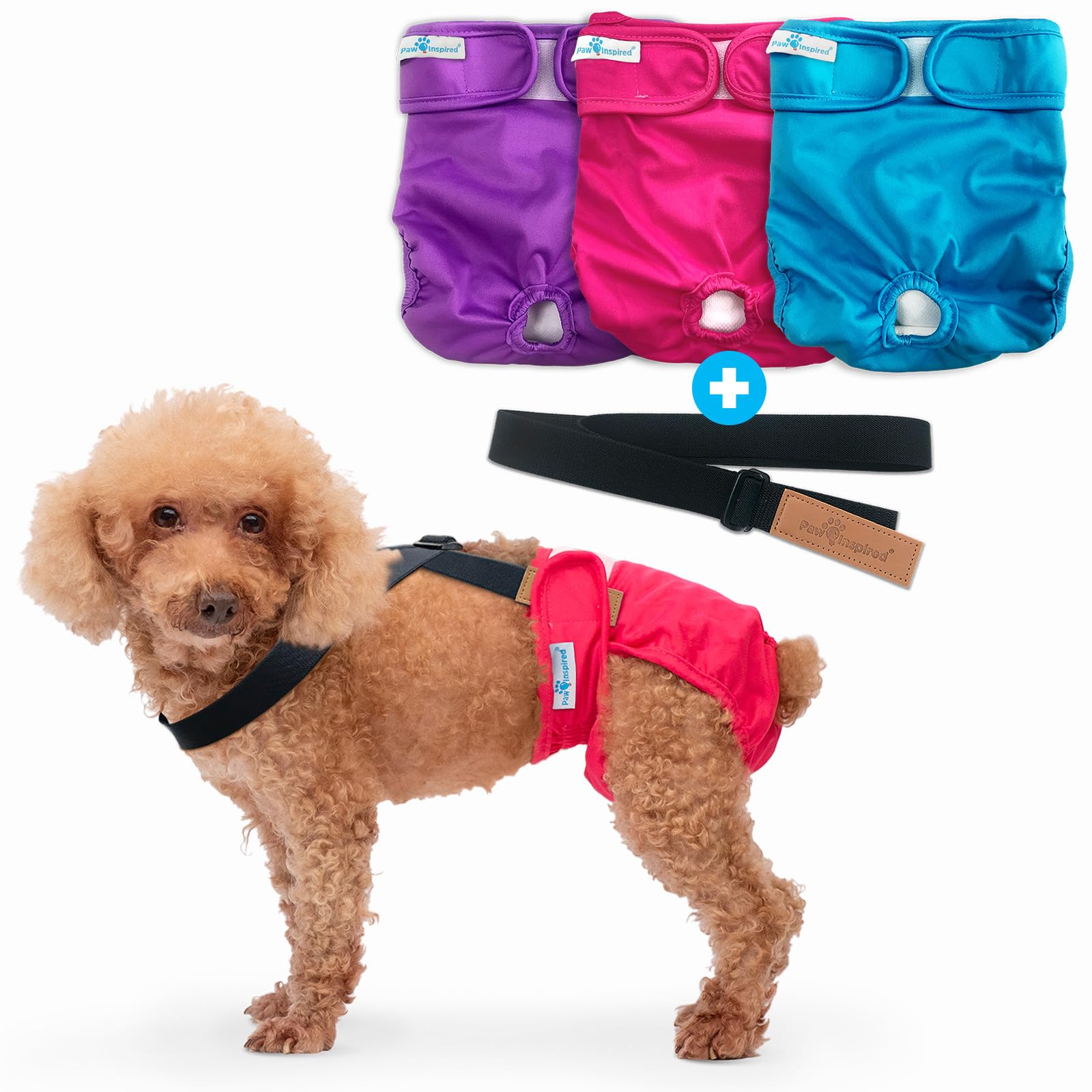 Photo 1 of Paw Inspired Reusable Washable Dog Diapers (Pack of 3) in Assorted Colors with White Lining and Dog Diaper Suspenders in Black Combo Pack (Small)