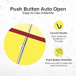 Weather Station Clear Dome Rain Umbrella