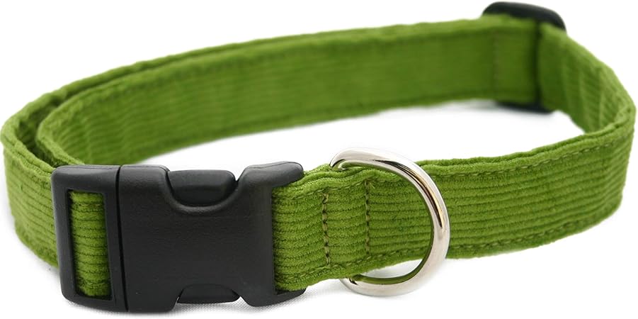 avocado dog collar
