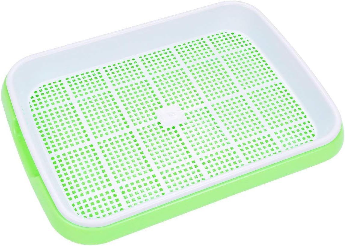 Seed Sprouter Tray BPA Free PP Soil-Free Big Capacity Healthy Wheatgrass Grower 9.84 x 13.4inch