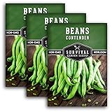3 Packs Contender Bush Bean Seed for Planting with