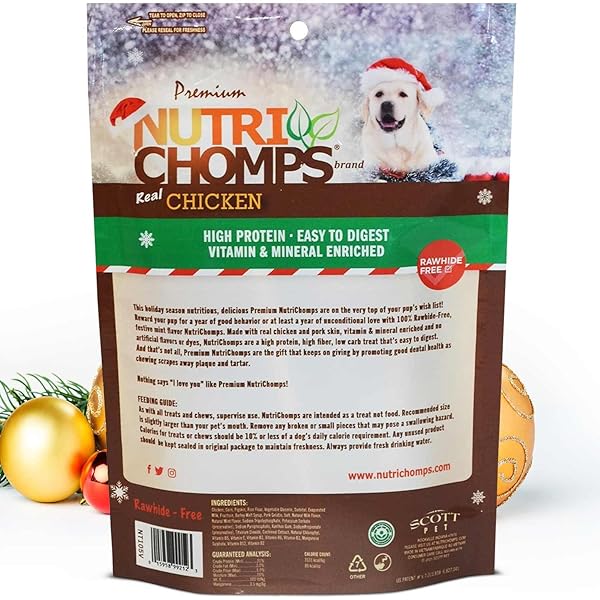 NUTRICHOMPS DOG CHEWS, 5 INCH STICKS, MINT FLAVOR, 15 COUNT, EASY TO DIGEST, RAWHIDE FREE, HOLIDAY STOCKING STUFFER TREATS, CHRISTMAS GIFT FOR DOGS