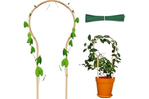 MIUWAUER Bamboo Trellis for Climbing Plants 16 Inch 4 Pack Loop-Shaped Natural Small Bamboo Lattice Mini Wooden Plant Support Trellace Climber for Potted Houseplants Rose Pothos Monstera Indoor Outdoor Garden