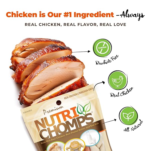 NUTRICHOMPS DOG CHEWS, 6-INCH BRAIDS, EASY TO DIGEST, RAWHIDE-FREE DOG TREATS, HEALTHY, REAL CHICKEN, PEANUT BUTTER AND MILK FLAVORS, PACK OF 4