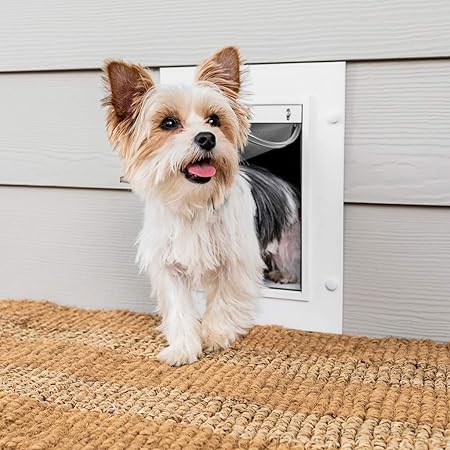 amazon petsafe dog door