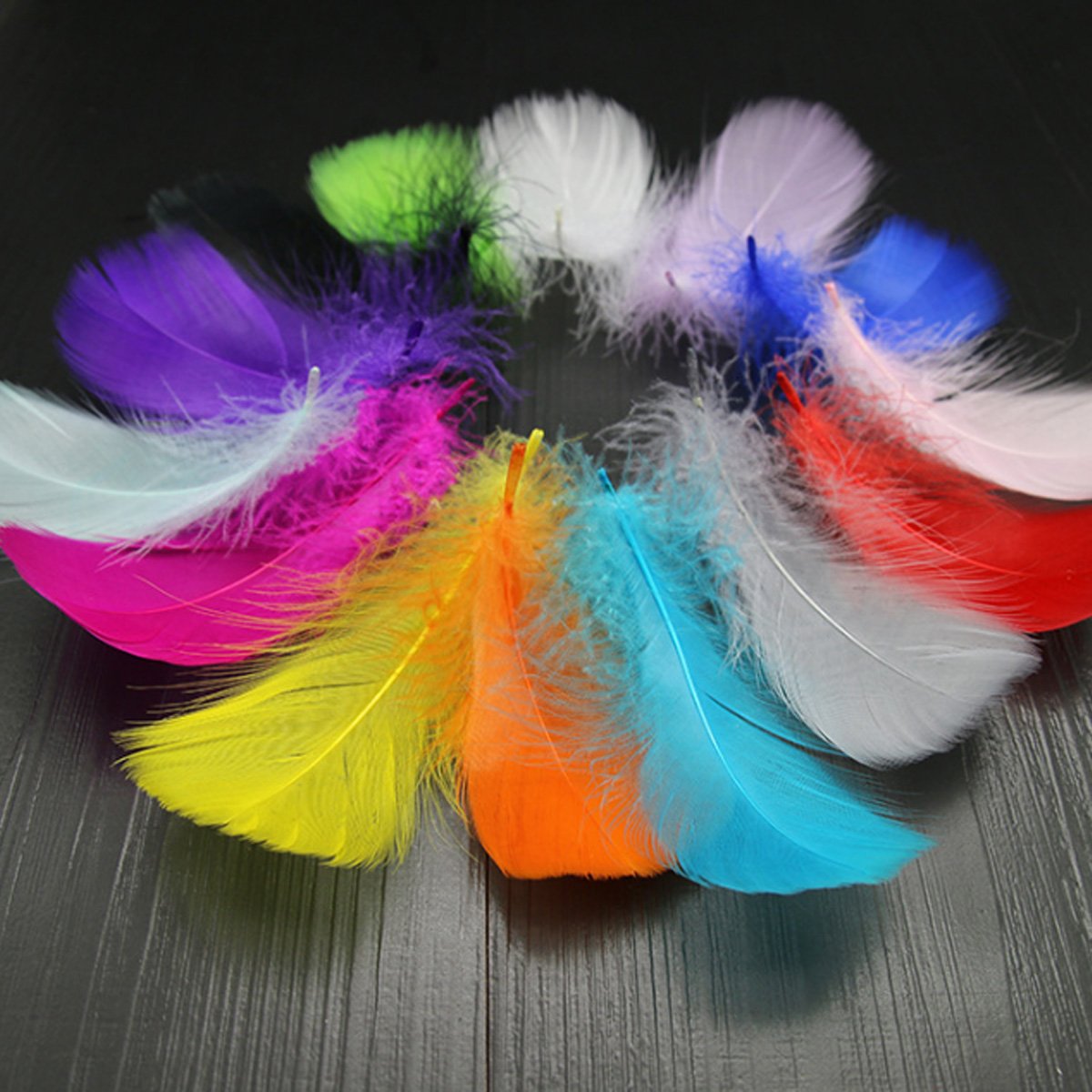 Rocita 300pcs DIY Colorful Feathers Assorted Color Craft Supplies for Arts Crafts Sewing