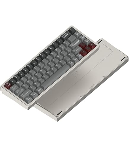 Amazon.com: LUMINKEY Magger68 Performance HE 65% Gaming Keyboard