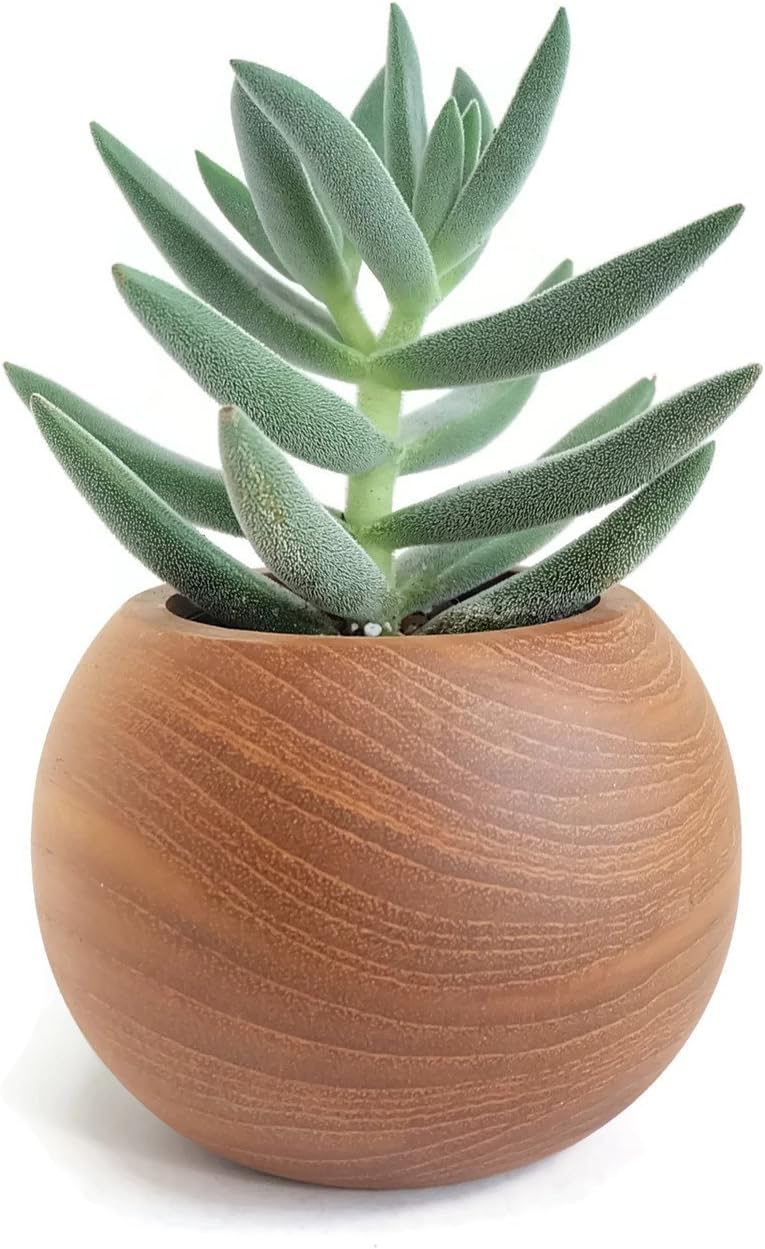 3" Teak Wood Sphere Planter (Natural) for Home Office Desk Garden Decoration