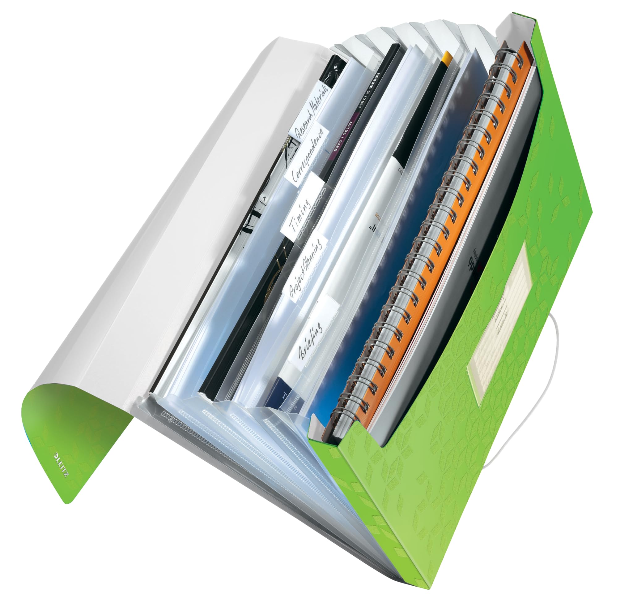 Leitz 45890054 A4 Box File, Holds Up to 250 A4 Sheets, Elastic Closure, Flexible Plastic, WOW Range, Green