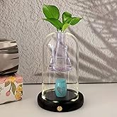 Curntiy Small urns for Human Ashes,with Wooden Base Light and Glass Flower vase, Mini Cremation Urn,Best Memorial Gifts for Loss of Loved One,Miniature Ashes Holder Tiny Sharing Urn