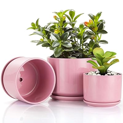 Buy Buymax 4 2 5 2 6 2 Inch Glazed Plant Pots With Connected Saucers Round Modern Ceramic Flower Pots Small To Large Size For All House Plants Flowers And Succulent Set Of 3 Pink