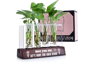 HENGHERE Sister Birthday Gift Ideas, Sisters Gifts from Sister Plant Propagation Station, Soul Sister for Women, Big Sister Gifts for Little Girls, Love You Sis Hydroponic Plants Home Garden Wedding