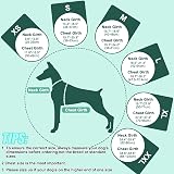 EMUST Dog Life Vest Reflective Strips Adjustable Turquoise L view 5