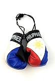 Red Hat Ent Hanging Car Mirror Mini Boxing Gloves