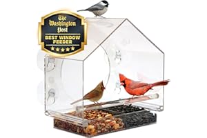 Window Feeder for Birds by Nature Anywhere. Bird Feeders Window for Wild Birds with Sliding Seed Holder and 4 Extra Strong Su