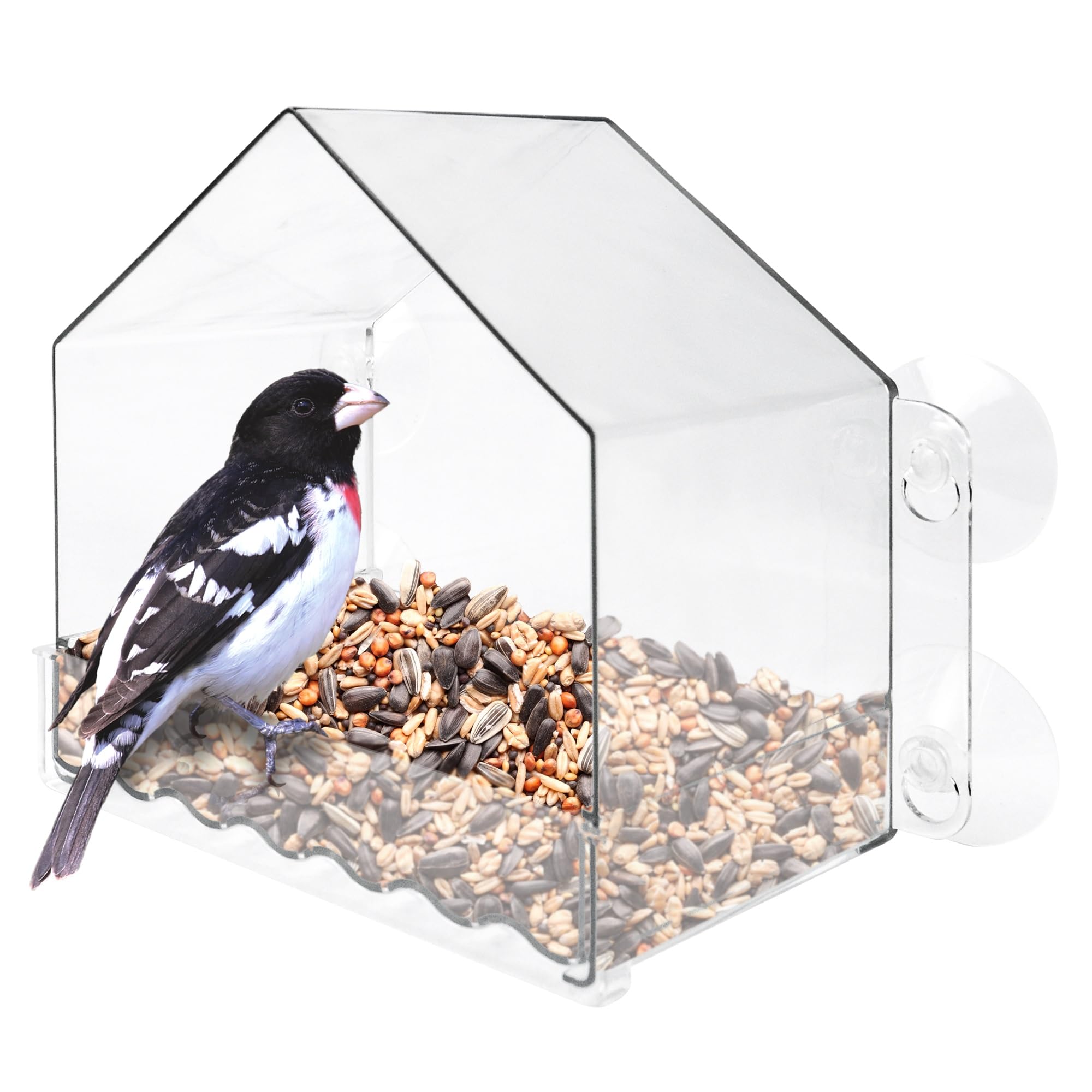 Photo 1 of Nature's Way Win-3 Clear View Window Bird Feeder with Strong Suction Cups, Transparent Outdoor Wild Bird Seed Feeder and Décor, 2 Cup Capacity, Clear, 6.5"