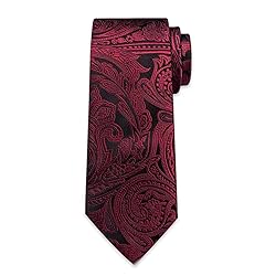 DiBanGu Silk Paisley Ties for Men Woven Necktie and